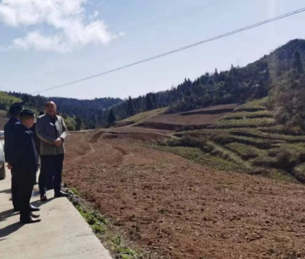 1712471559134074.png ͼƬ1.png